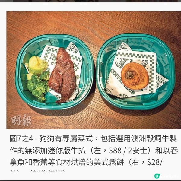 寵物餐廳圍桌進餐 與狗狗齊「鋸扒」
