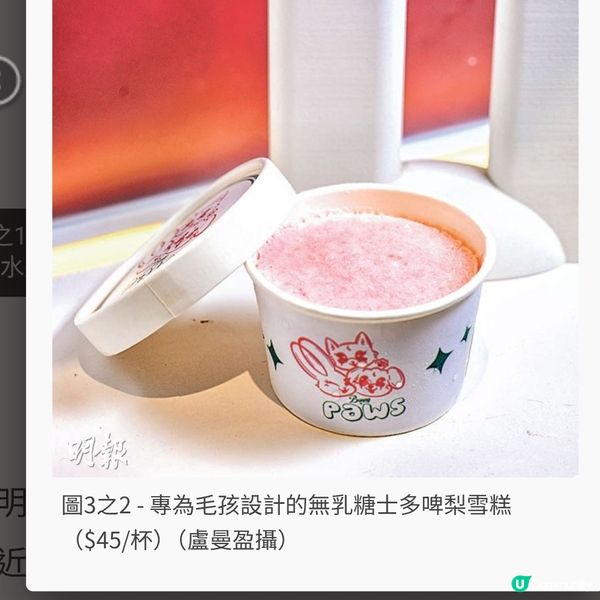 西沙Churros飄香 人寵樂享簡單美味