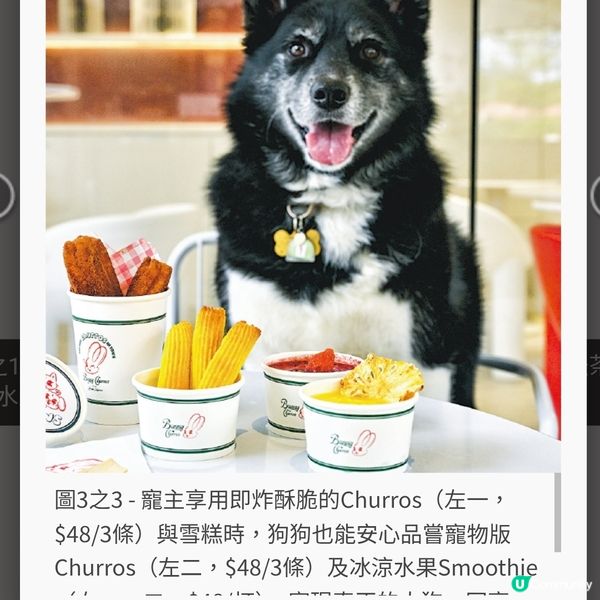 西沙Churros飄香 人寵樂享簡單美味