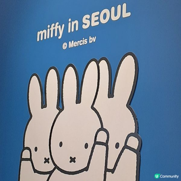 獨遊首爾朝聖Miffy店😍
