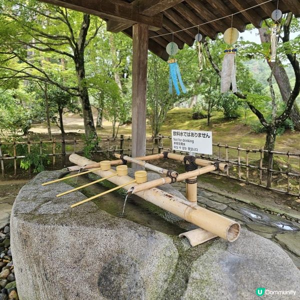 [帶你走進極樂淨土世界 日本世界文化遺產]