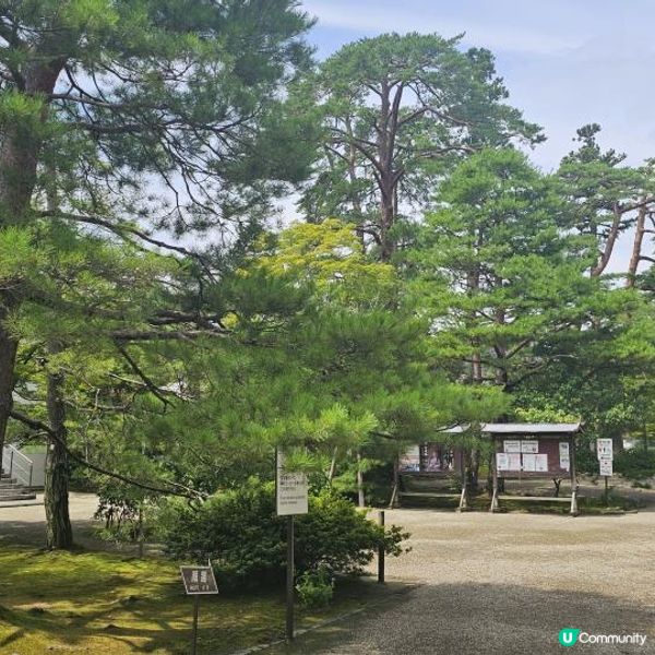 [帶你走進極樂淨土世界 日本世界文化遺產]