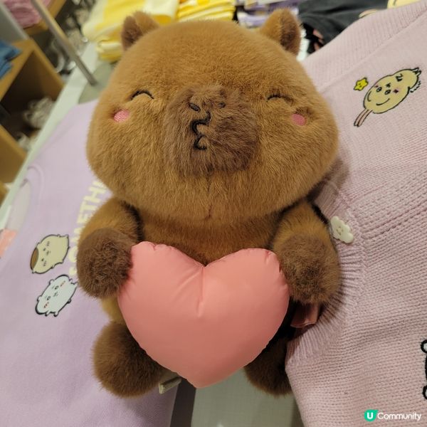 #chill賞收藏可愛