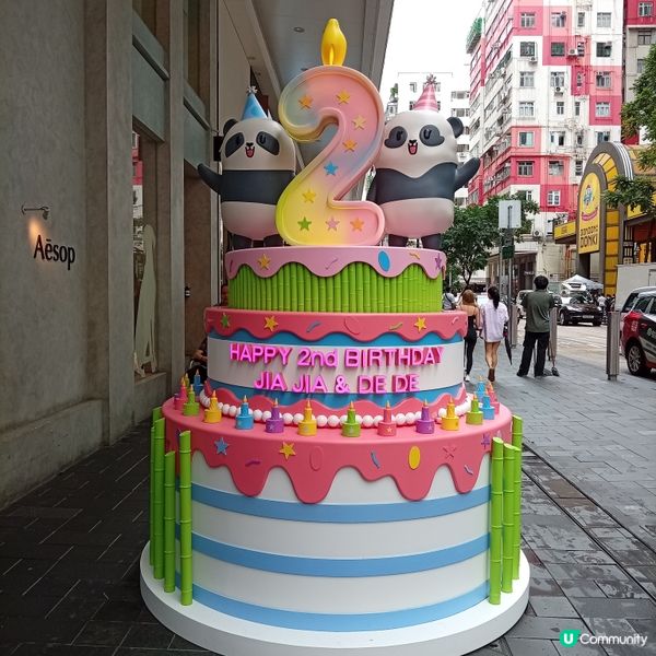 熊貓加加與得得生日活動，萌爆全港 🐼🎉