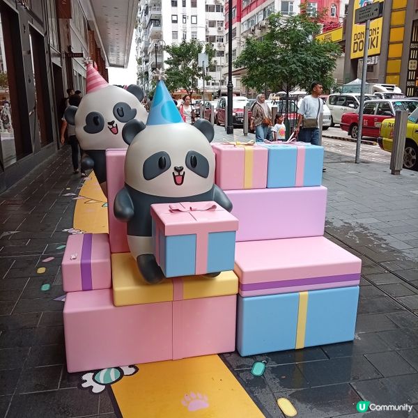 熊貓加加與得得生日活動，萌爆全港 🐼🎉