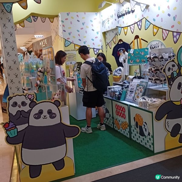 熊貓加加與得得生日活動，萌爆全港 🐼🎉