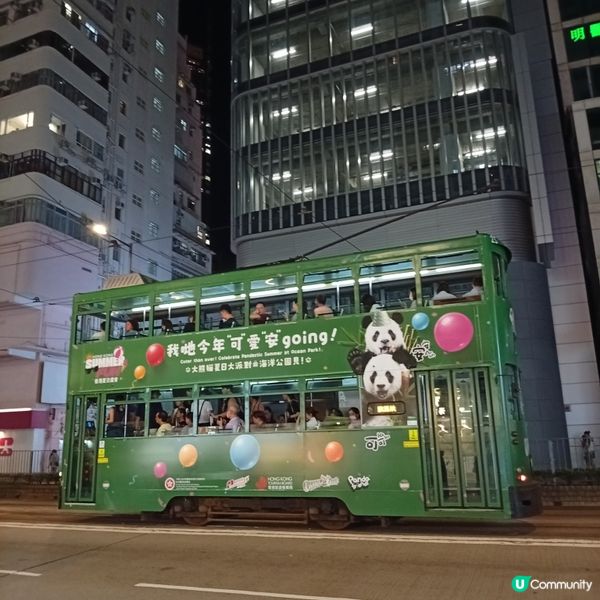 熊貓加加與得得生日活動，萌爆全港 🐼🎉