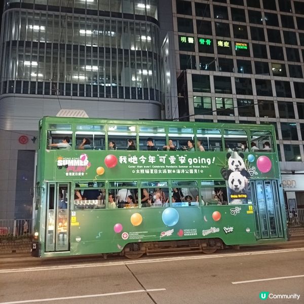 熊貓加加與得得生日活動，萌爆全港 🐼🎉