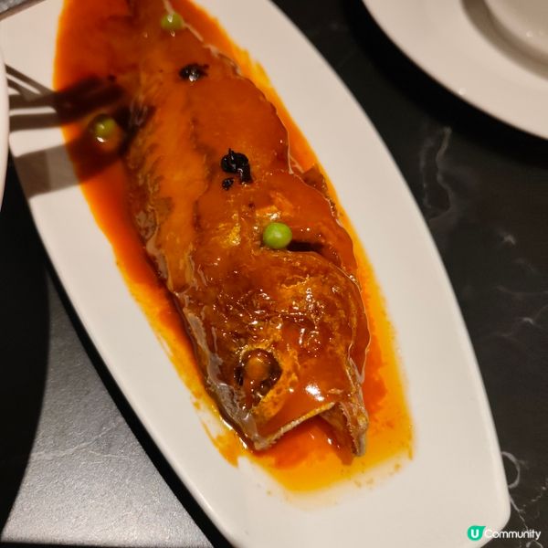 今日深圳搵食！😋