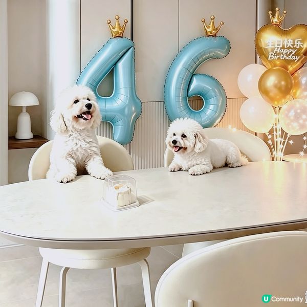兩隻傻犬 寵物友善餐廳慶生🎉