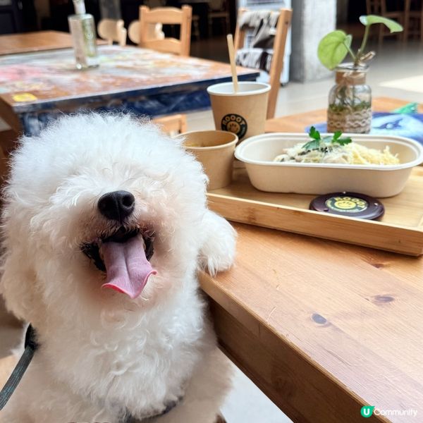 兩隻傻犬 寵物友善餐廳慶生🎉