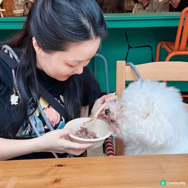 兩隻傻犬 寵物友善餐廳慶生🎉