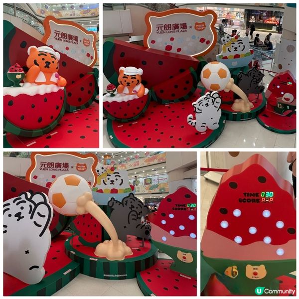 🍉Muzik tiger 甜蜜西瓜派對🍉