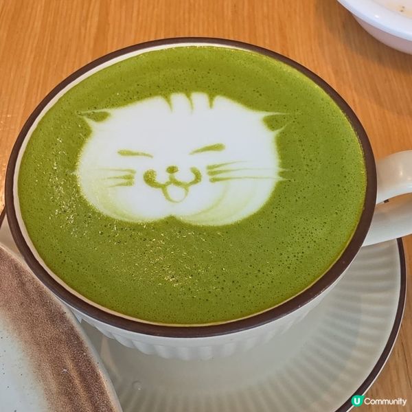 貓cafe