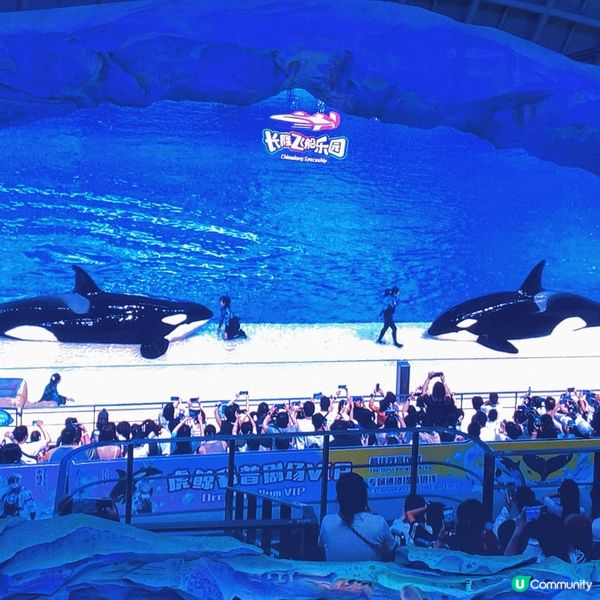 珠海｜全球最大室內主題樂園🎡