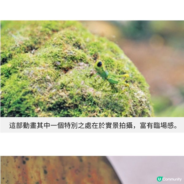 袁建滔突破傳統結合實景動畫 《小虫蟲大冒險》反映現今教育現象