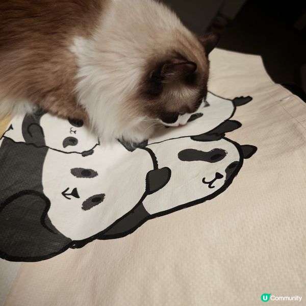 海洋公園Panda Friends Pop-up store