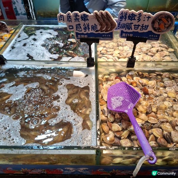 ✨深圳東門領鮮活海鮮榴槤自助火鍋餐廳食評分享😍榴槤控必訪