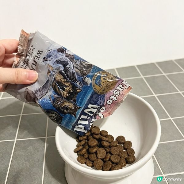 易敏狗狗都可盡情享用美食