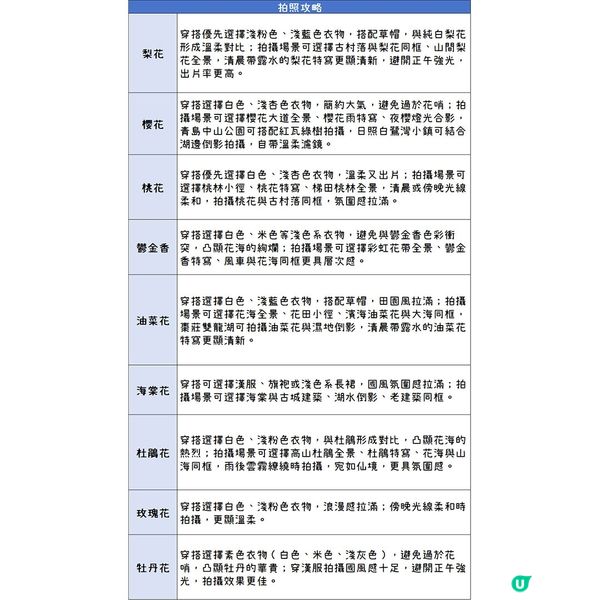 山東必去高顏值賞花地圖！