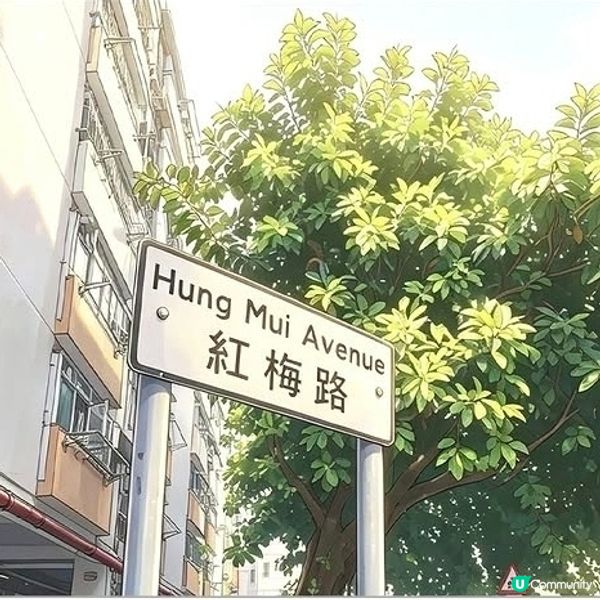 【 彩虹邨街道密碼】
