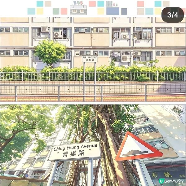 【 彩虹邨街道密碼】
