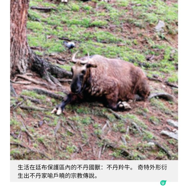 走訪不丹廷布與普那卡 喜馬拉雅山隱世幸福風情