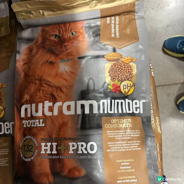 貓貓貓糧