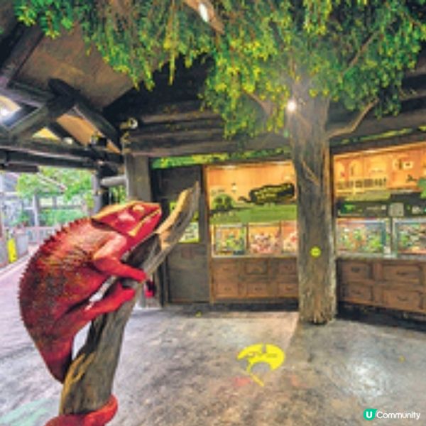 海洋公園全新展館「爬行探索基地」揭幕