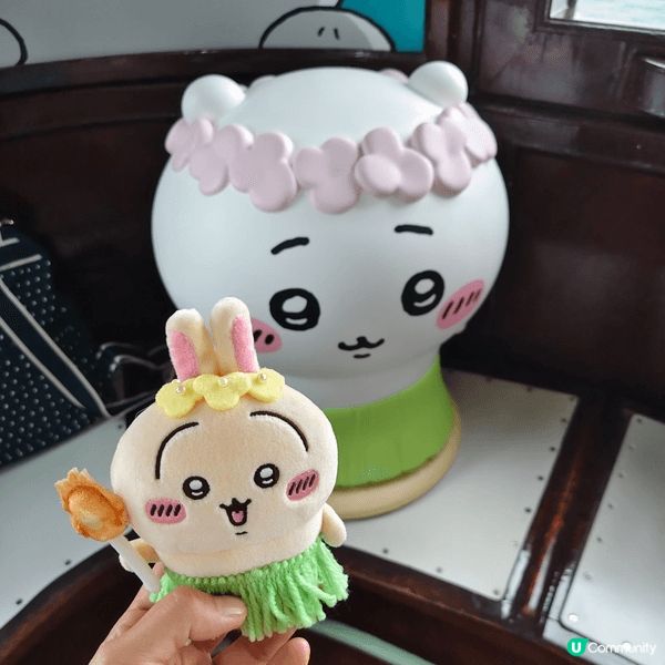 最鐘意兔兔，佢好得意，每次見到佢好開心走出嚟搞搞震，好搞笑！...