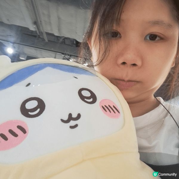 以上係我夾公仔夾到嘅Chiikawa公仔,而我最喜歡Usag...