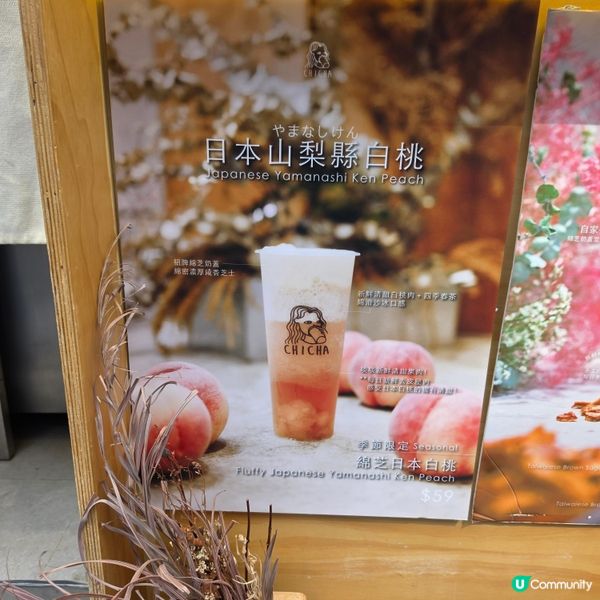 🍑🥤奶蓋界天花板！茶痴綿芝白桃好好飲！