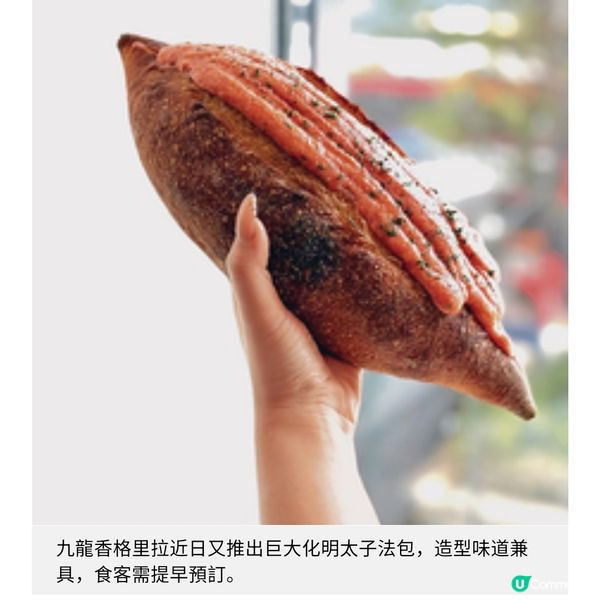 Angelini全新意式風味午市套餐自由配搭菜式無限添食提拉