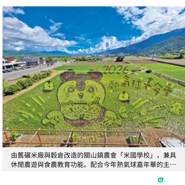 Chiikawa圖案稻田+張惠妹酒吧探遊台東的秘境與風味