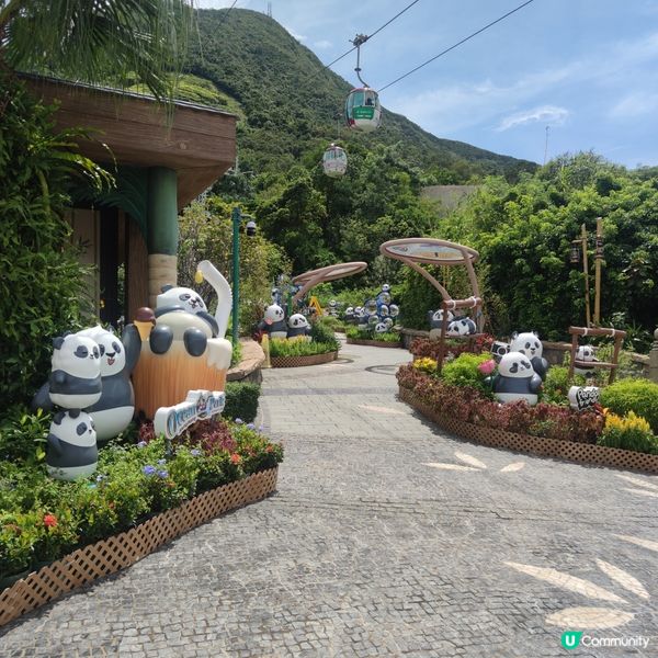 海洋公園奇遇🐼🎢🌊！夏日開心玩到癲🤩✨