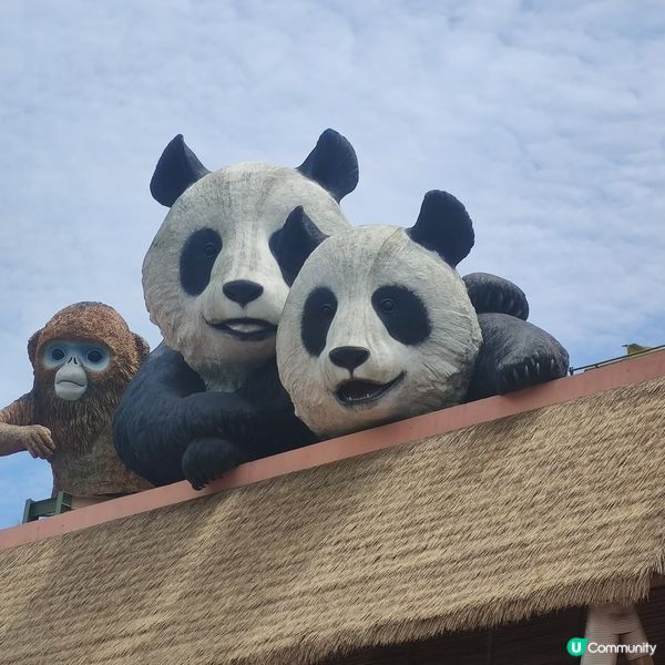 海洋公園奇遇🐼🎢🌊！夏日開心玩到癲🤩✨