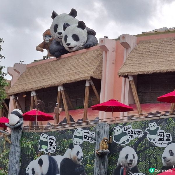 海洋公園 熊貓 家姐加加 細佬得得