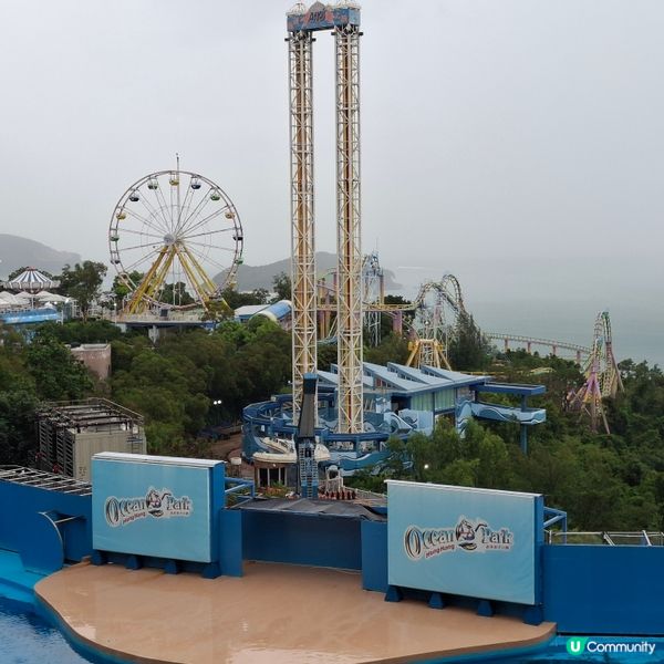 海洋公園 熊貓 家姐加加 細佬得得