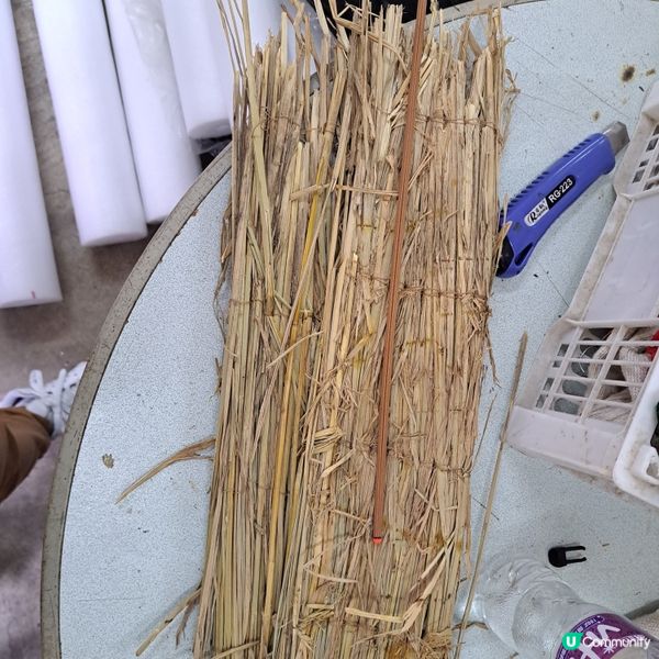 百年火龍術！🔥 仲秋傳承技藝！🐉