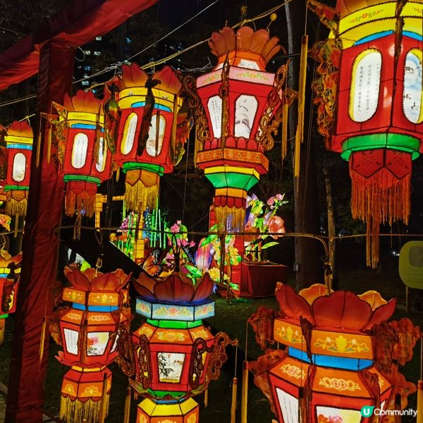 中秋賞花燈