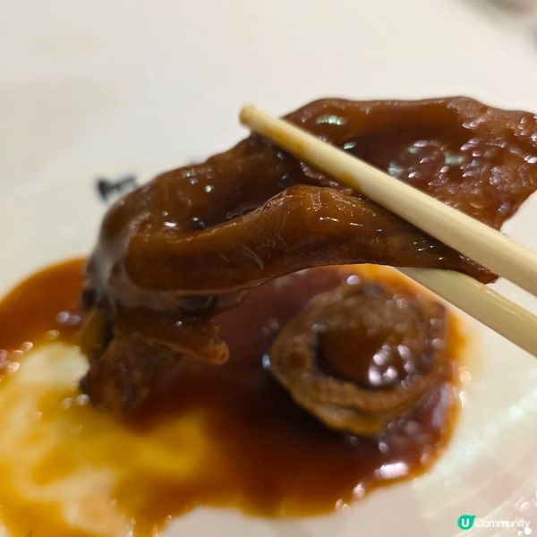老字號懷舊滋味😋鮑參翅肚一試難忘！