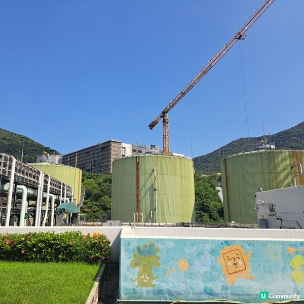 有機廚餘變黃金♻️✨