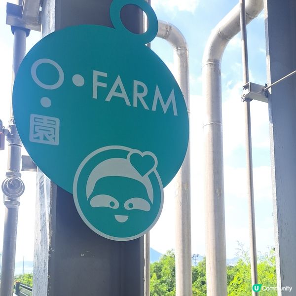 有機廚餘變黃金♻️✨