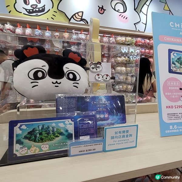 🐰🐇有新野