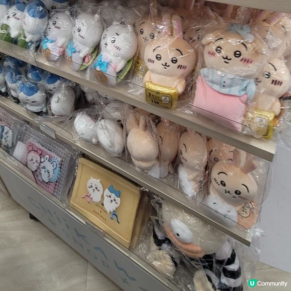 🐰🐇有新野
