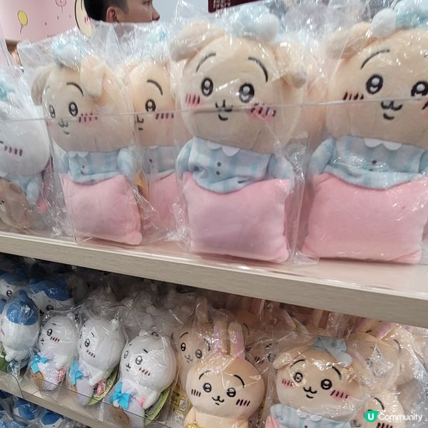 🐰🐇有新野