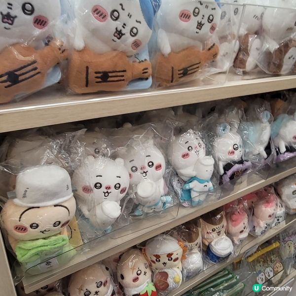 🐰🐇有新野