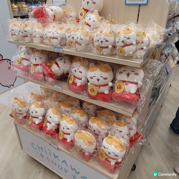 🐰🐇有新野