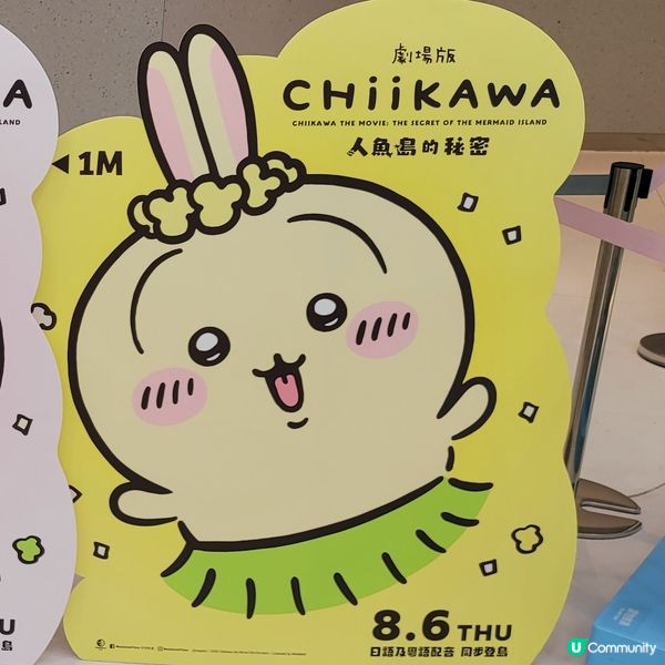 🐰🐇有新野