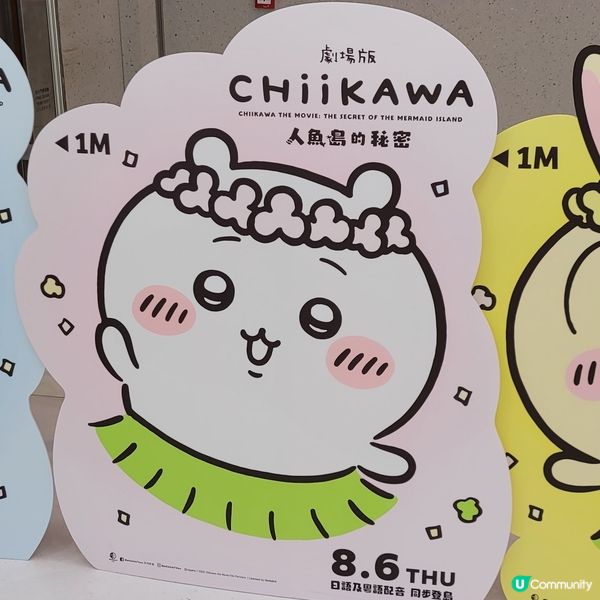 🐰🐇有新野